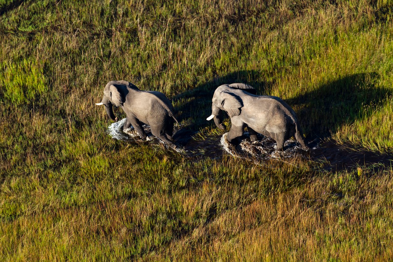 3 different lodges and 3 different experiences on this 9-night Botswana Adventure